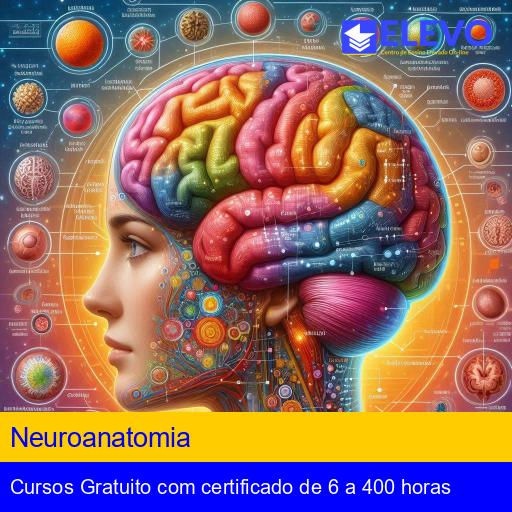 Neuroanatomia